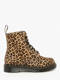 mini leopard