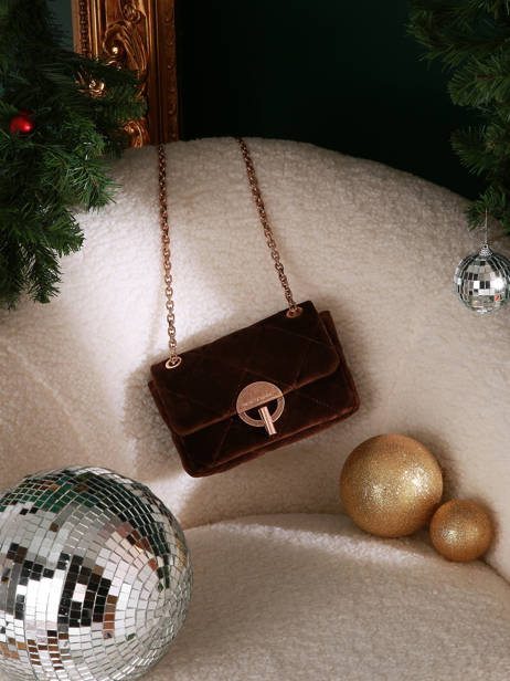 Crossbody Bag Moon Velvet Vanessa bruno Brown moon 42V40533 other view 5